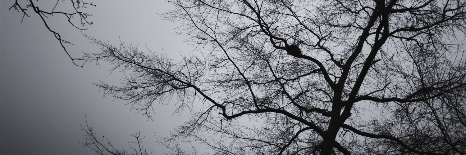 skogrowl's profile banner image