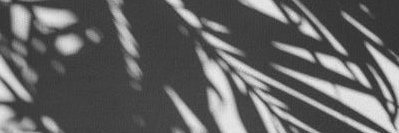 shuffleguidance's profile banner image