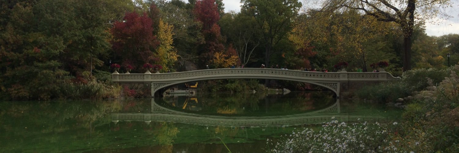 DavidParera's profile banner image