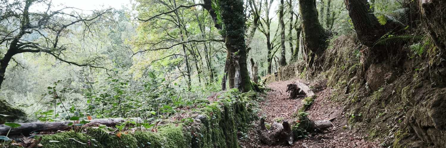 xdocouto 🍍 banner