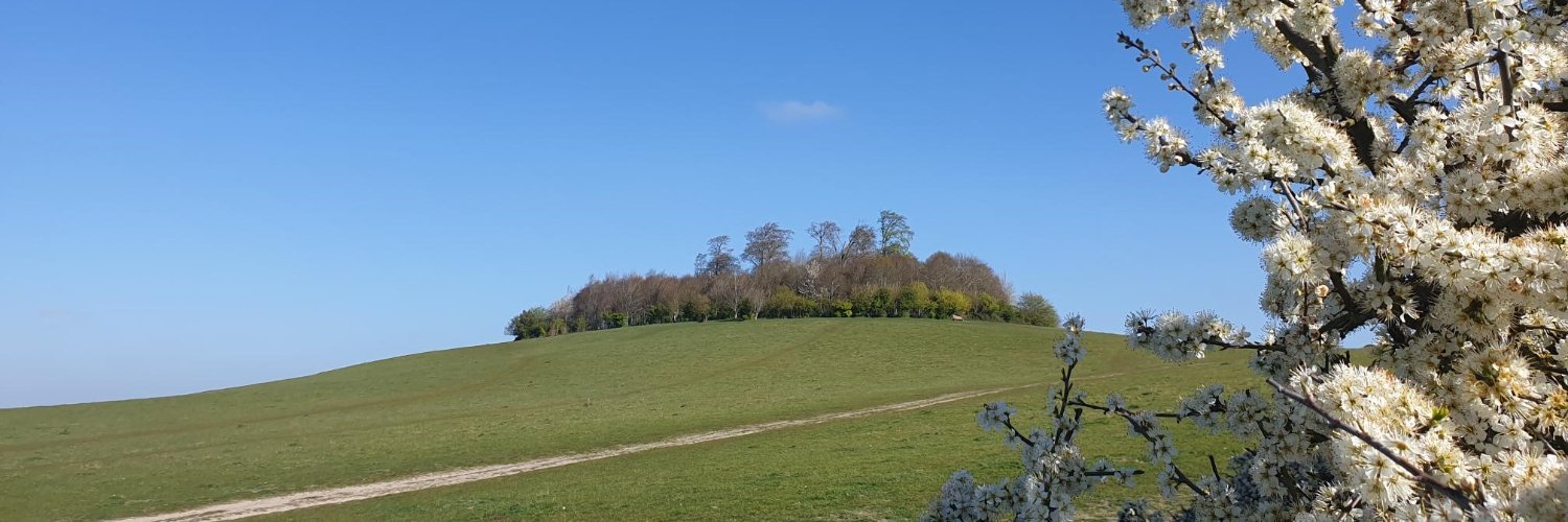 earth_trust's profile banner image