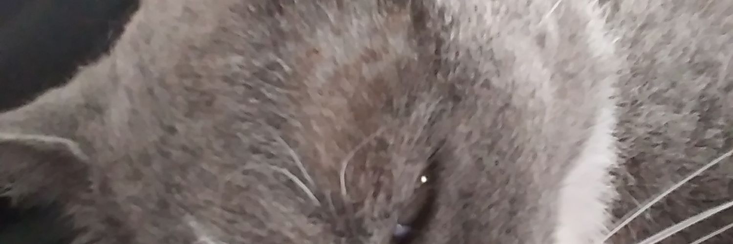 PipPezz's profile banner image