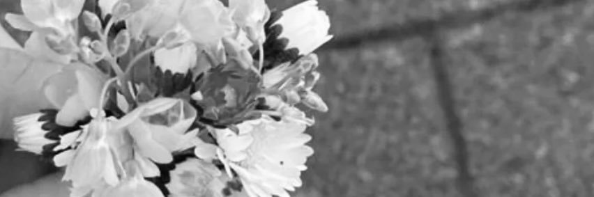 Azrah_A_786's profile banner image