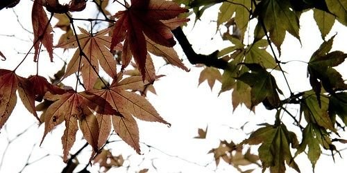 egagaae's profile banner image