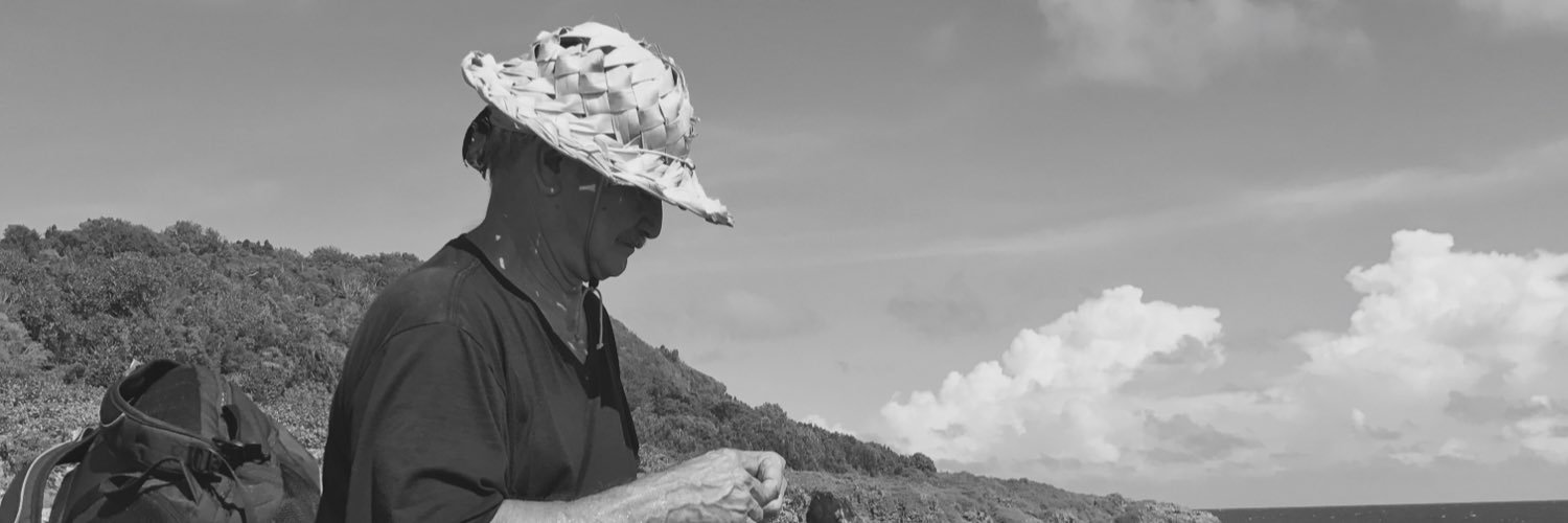 naocchoro's profile banner image