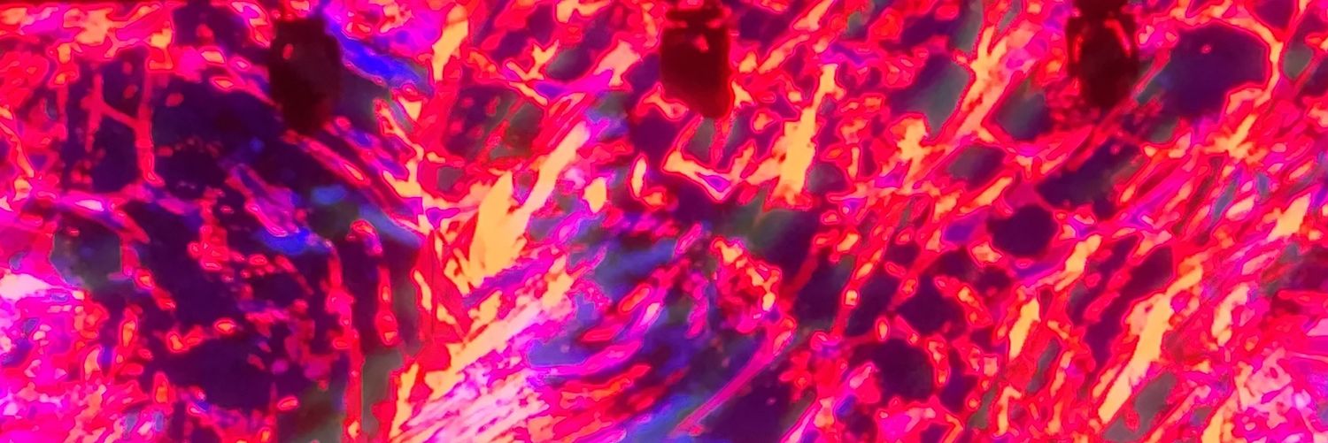 fersaav07's profile banner image