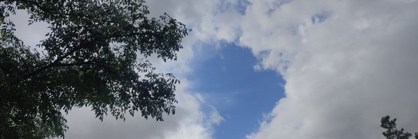 pmmoscoso Profile Banner