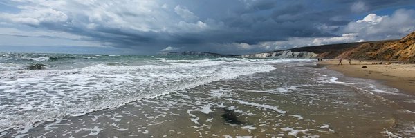 FobTurnip Profile Banner