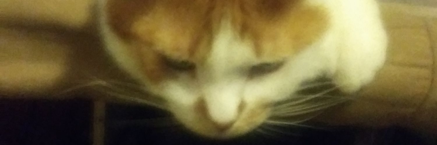 harry voutour banner