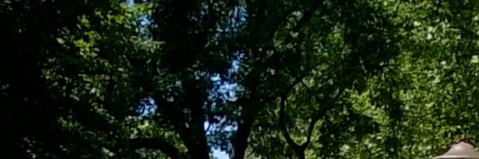rojanper's profile banner image