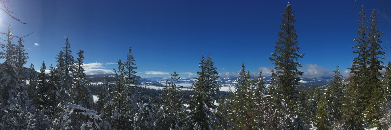 Robert Ling aka Corlag the Bard banner