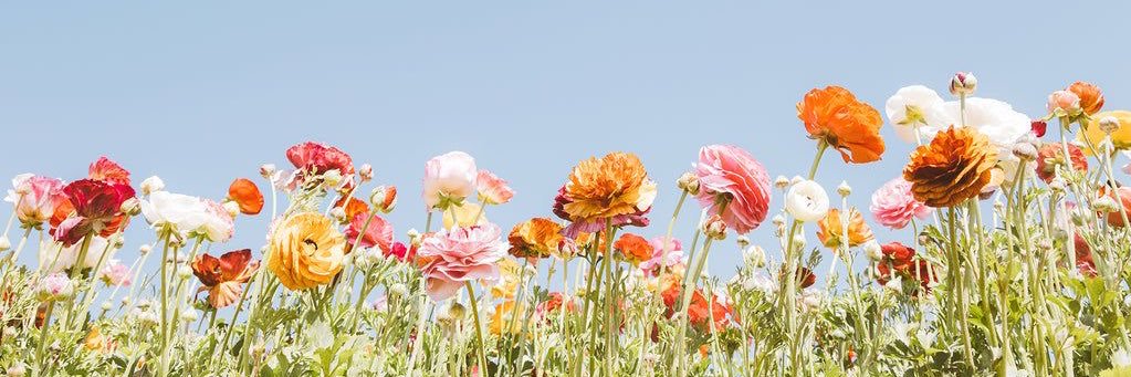 gabelats_'s profile banner image