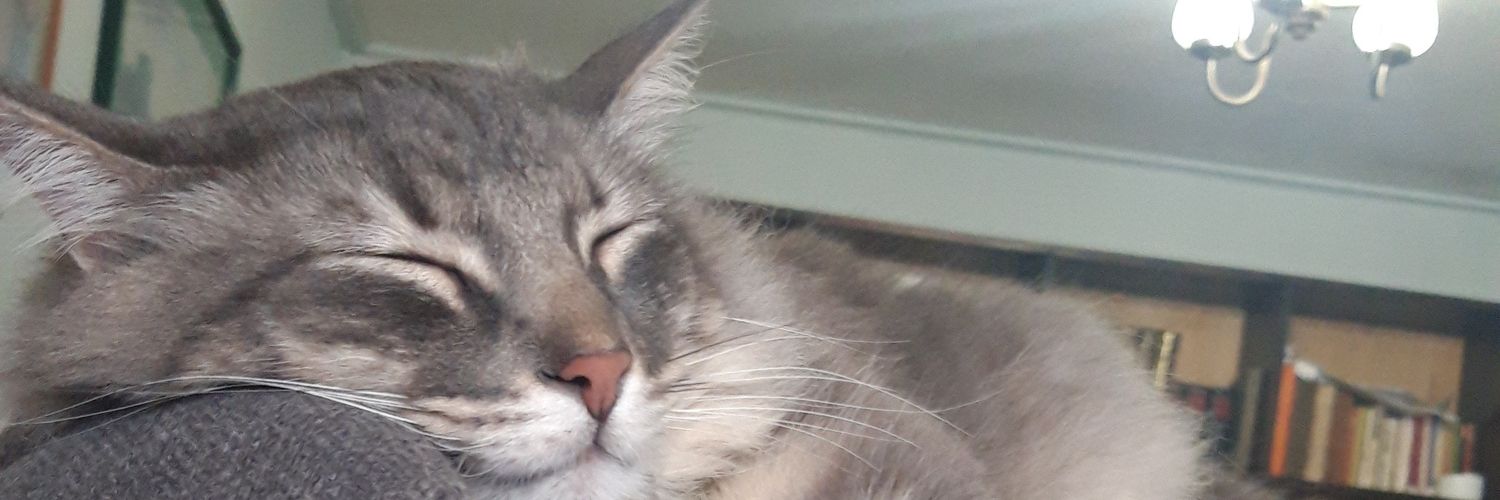 Claudia A. Muñoz Tobar banner