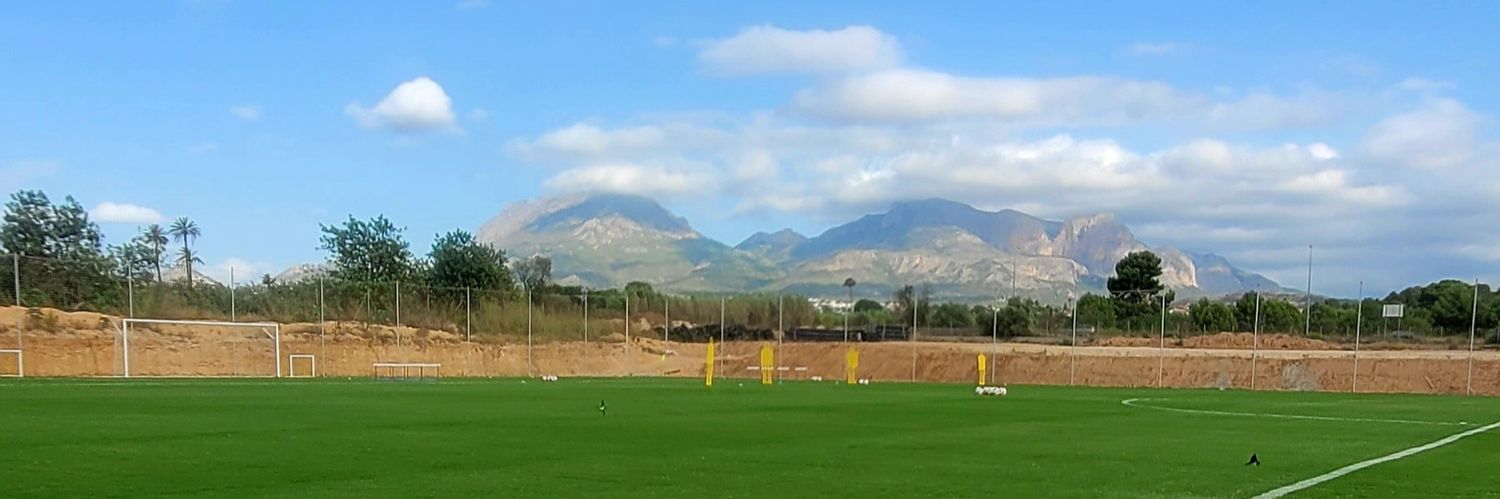 Alba Pestano banner