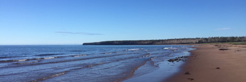 gwiazdowicz's profile banner image