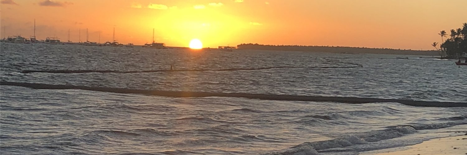 sea_turkey's profile banner image