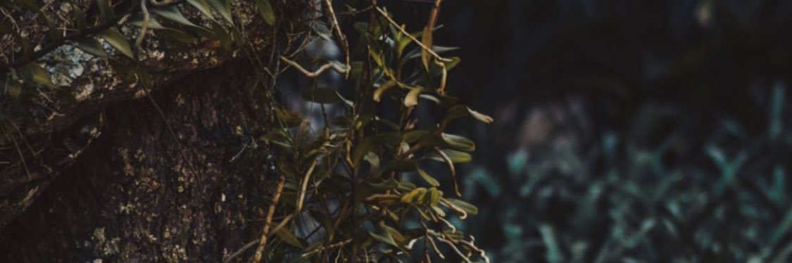 Dieder Fuentes banner
