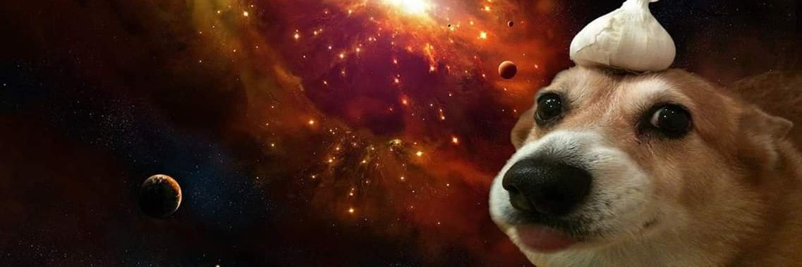 DulceRodriguez_'s profile banner image