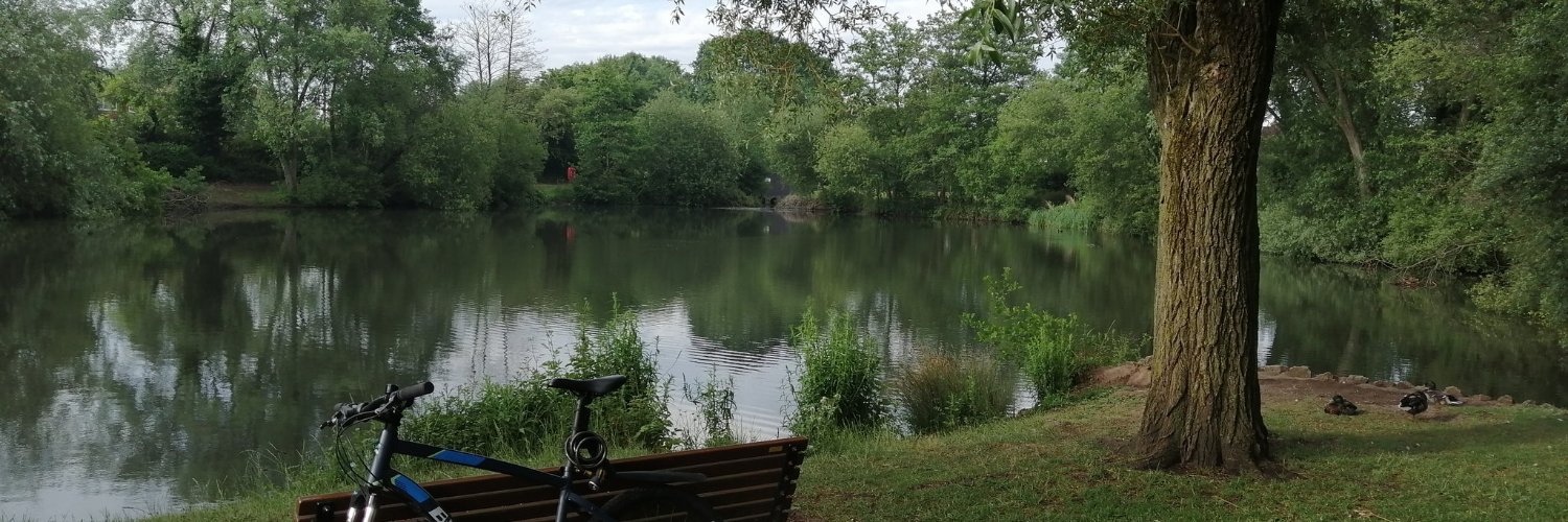 Steve Re-cycle banner