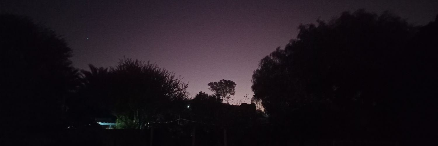 RamirezFlora_'s profile banner image