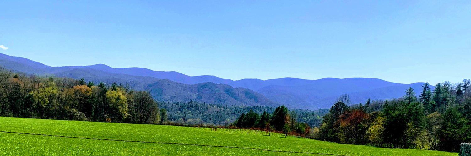 TaylorRitter's profile banner image