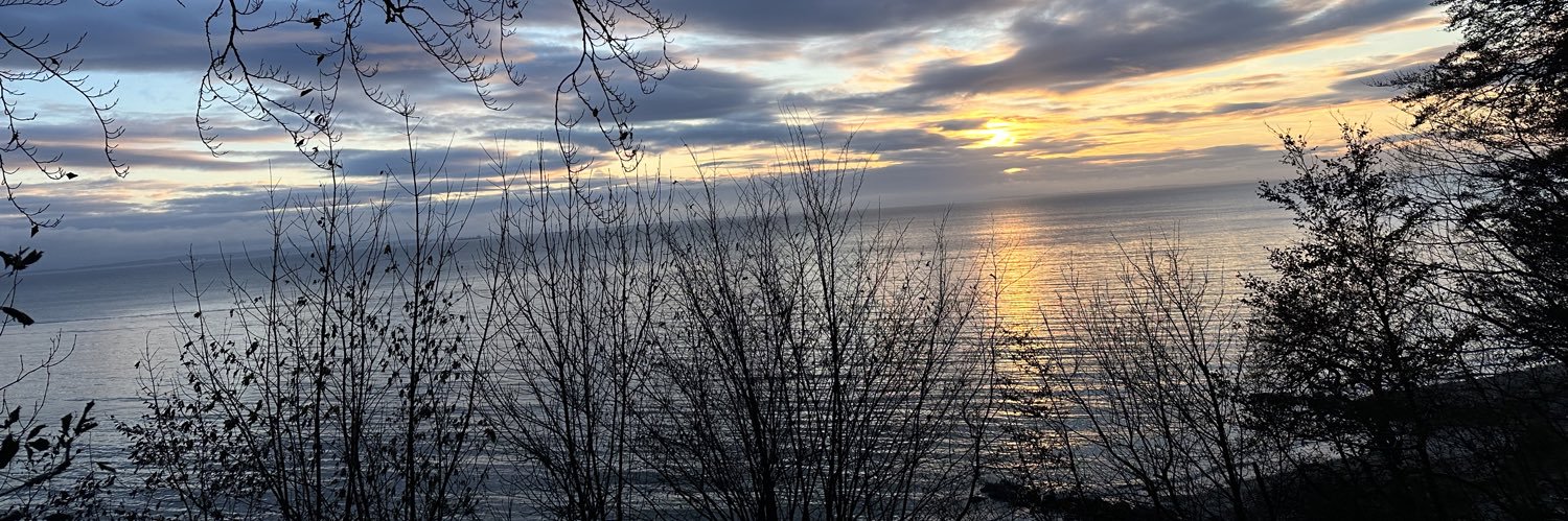 yvepedersen's profile banner image