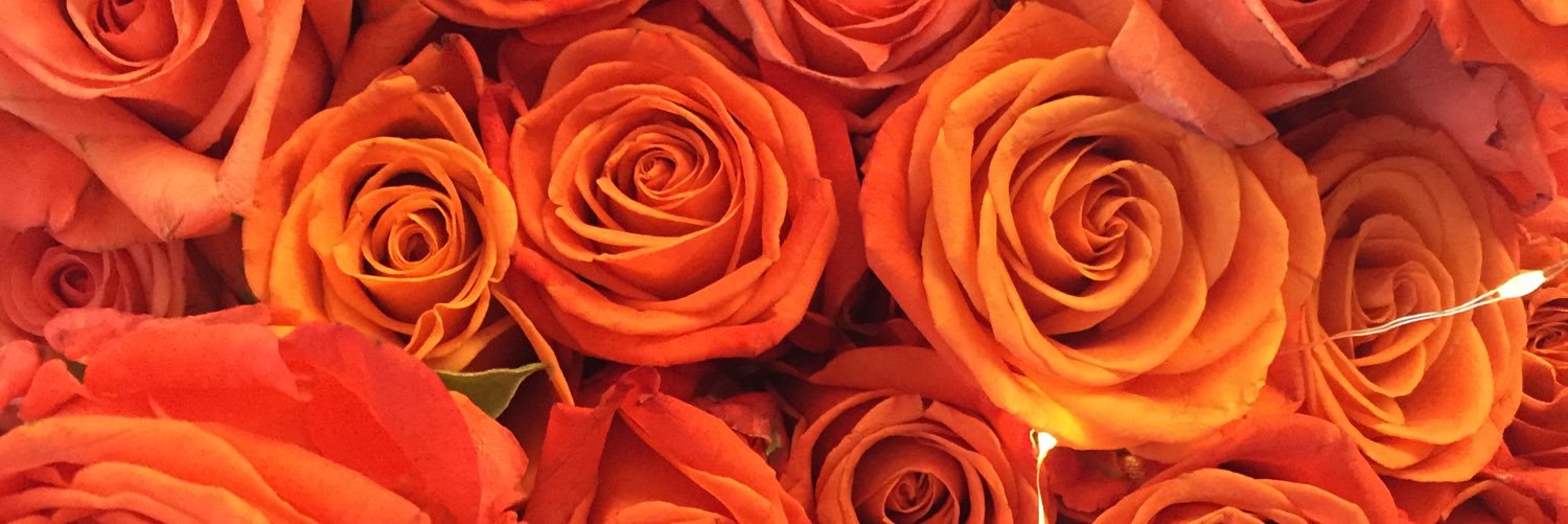 _gabriellegi's profile banner image