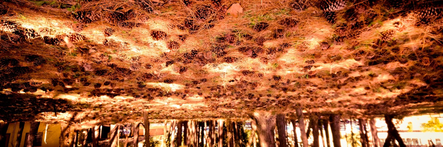 Will Stopinski banner