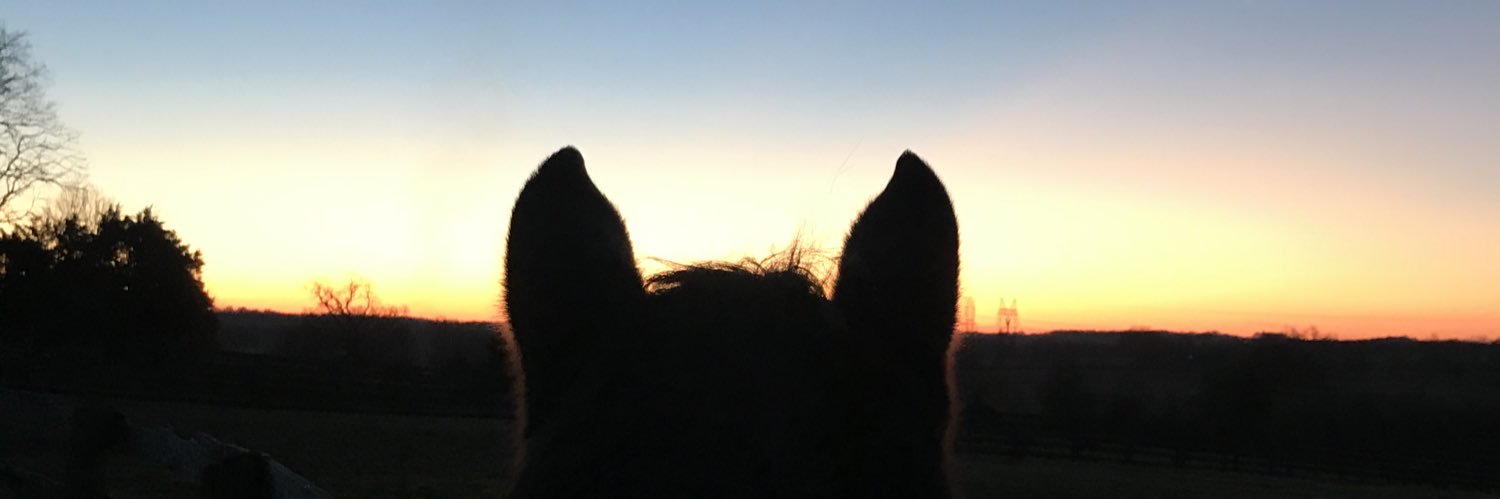 dmhoerig's profile banner image