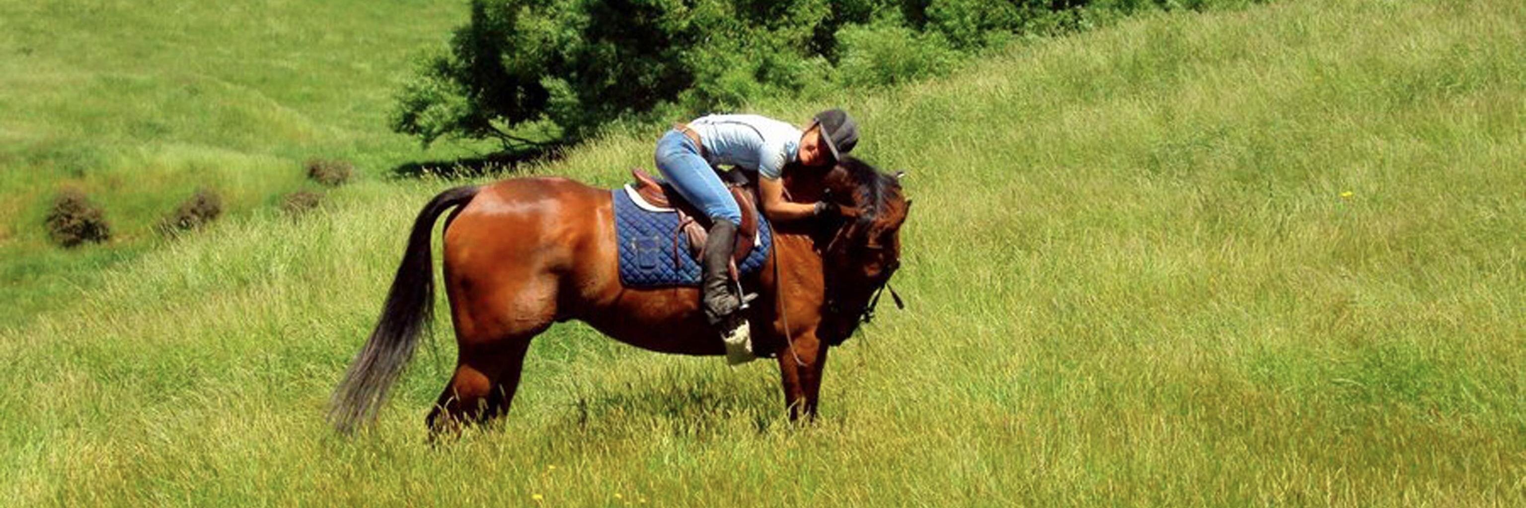 EquineTravel's profile banner image