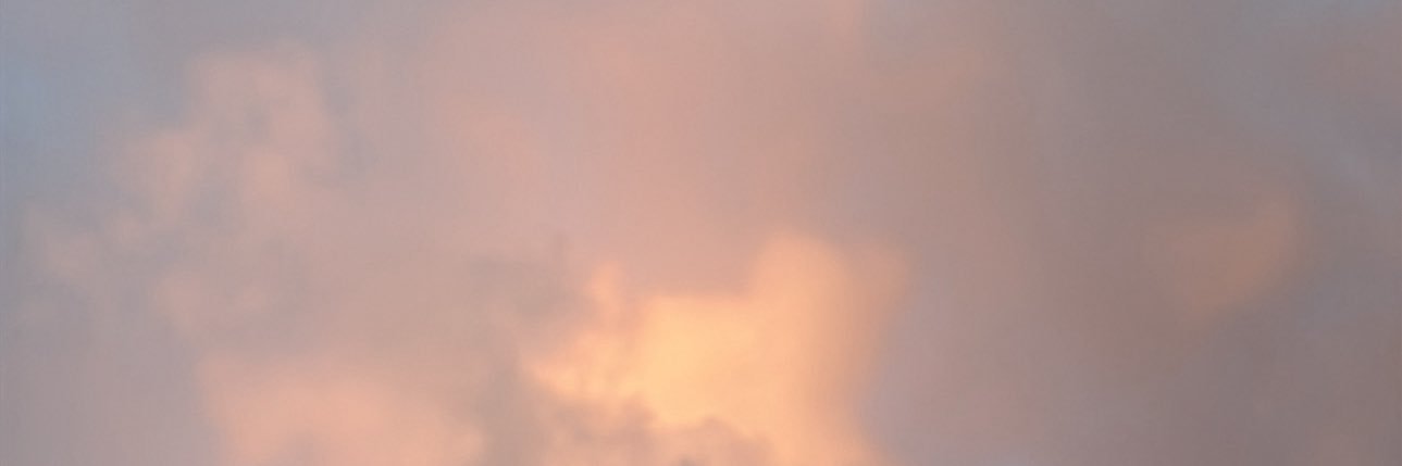 wika 🧸 banner