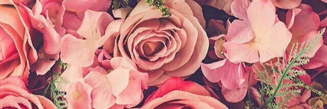 LatoyaDV's profile banner image