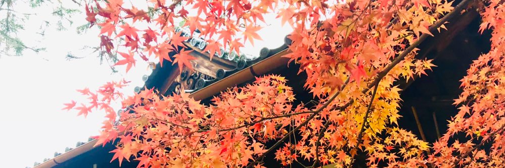 tokono_'s profile banner image