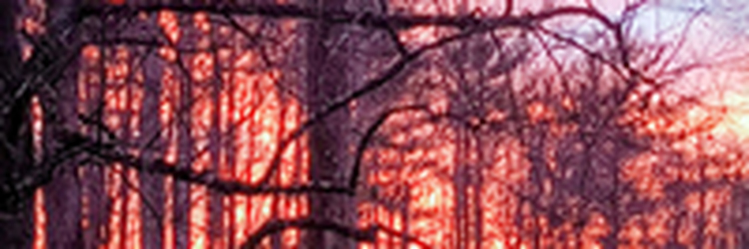 tomstnoebuild's profile banner image