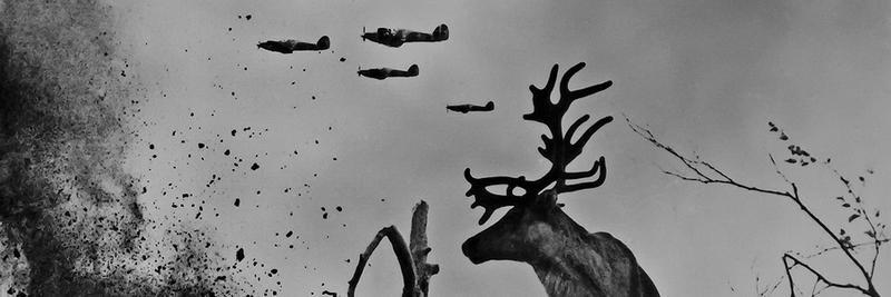 PhotosOfOld's profile banner image