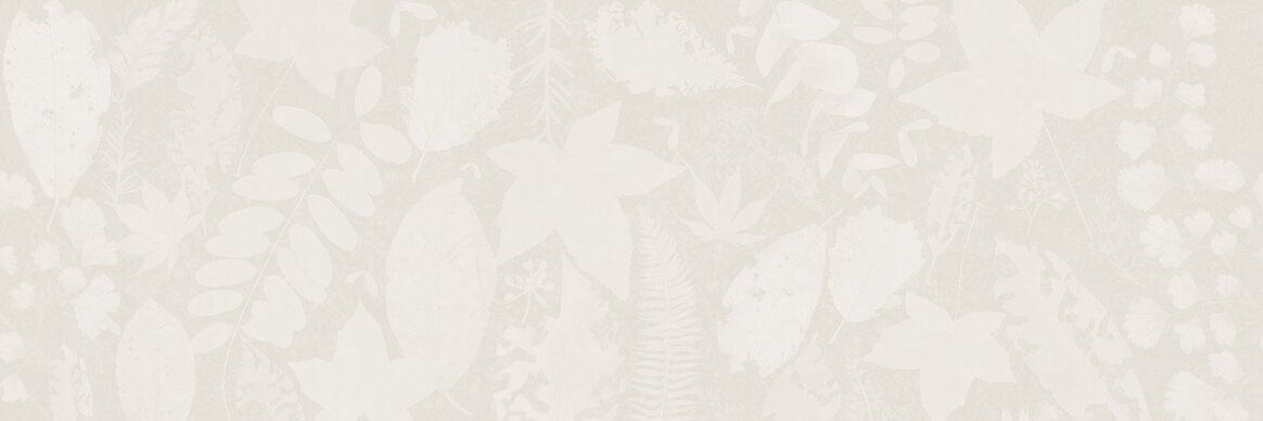 its_nahdeen's profile banner image