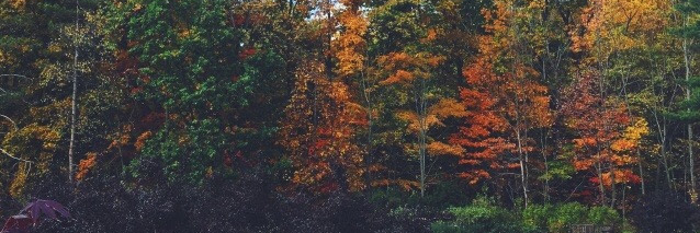 KTBsting's profile banner image