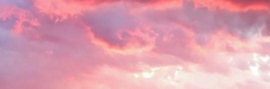 lauren ⛅️ banner