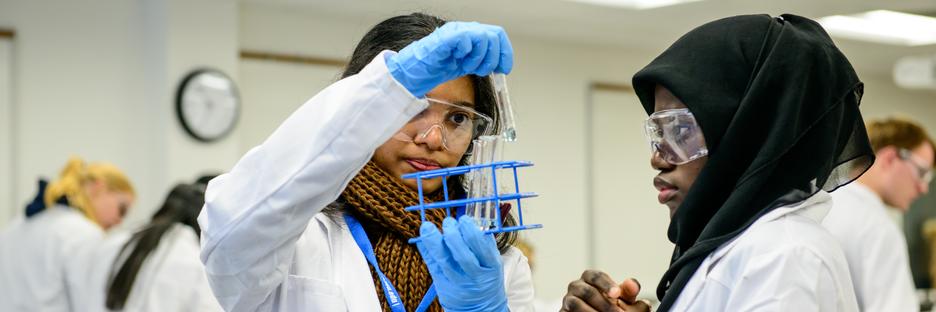 Penn State Research banner