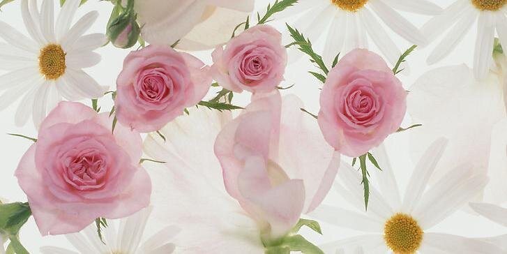 wang9727's profile banner image