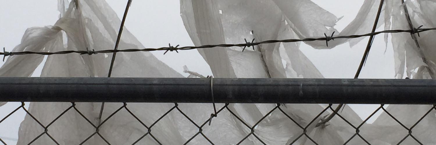 mross825's profile banner image