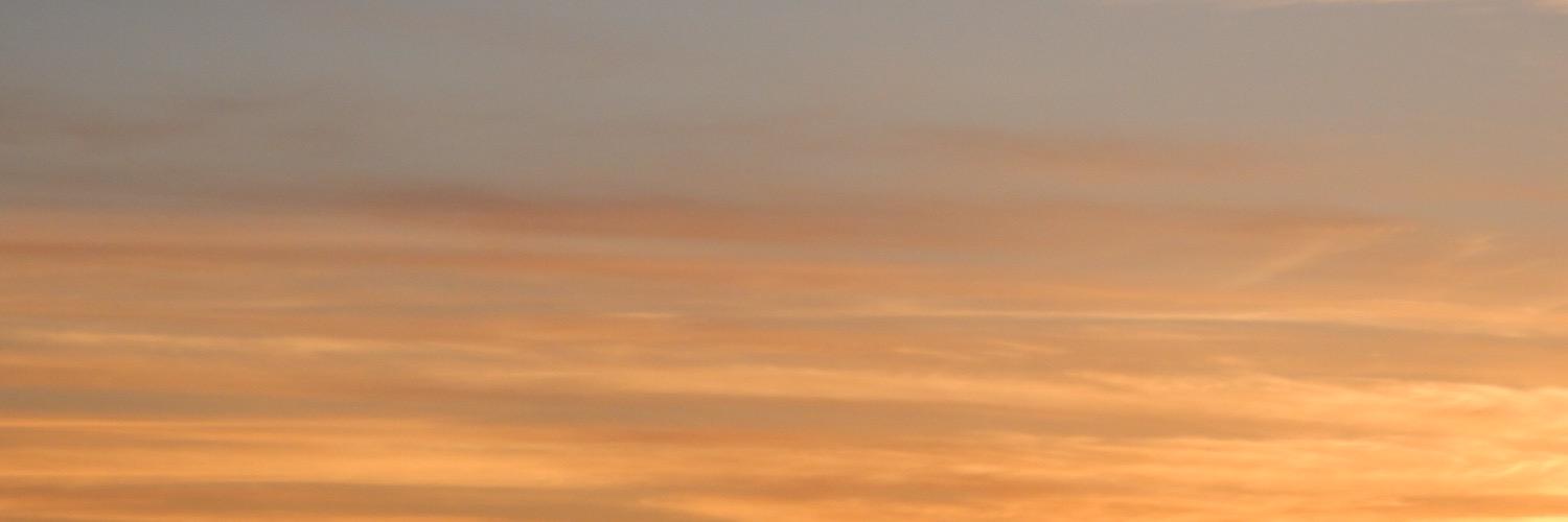 desdesgardner's profile banner image