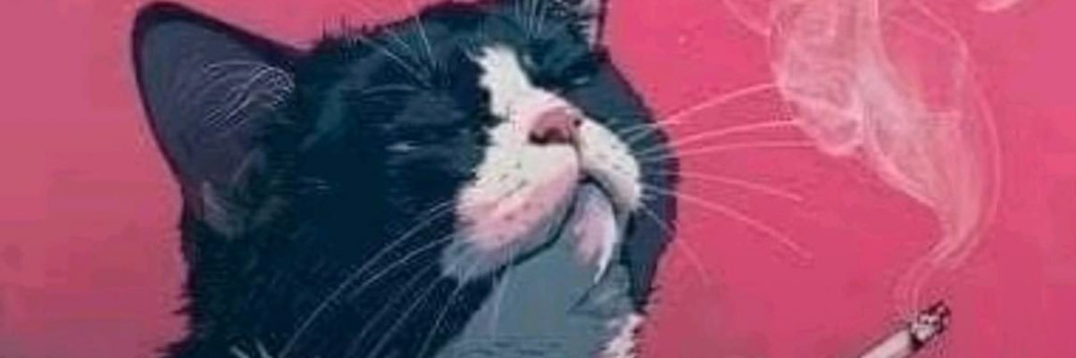 marc_aliotta's profile banner image
