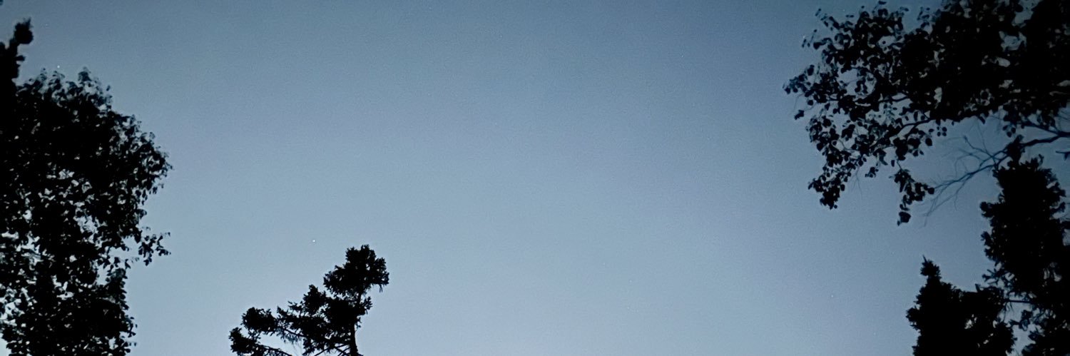 thebradyverse's profile banner image