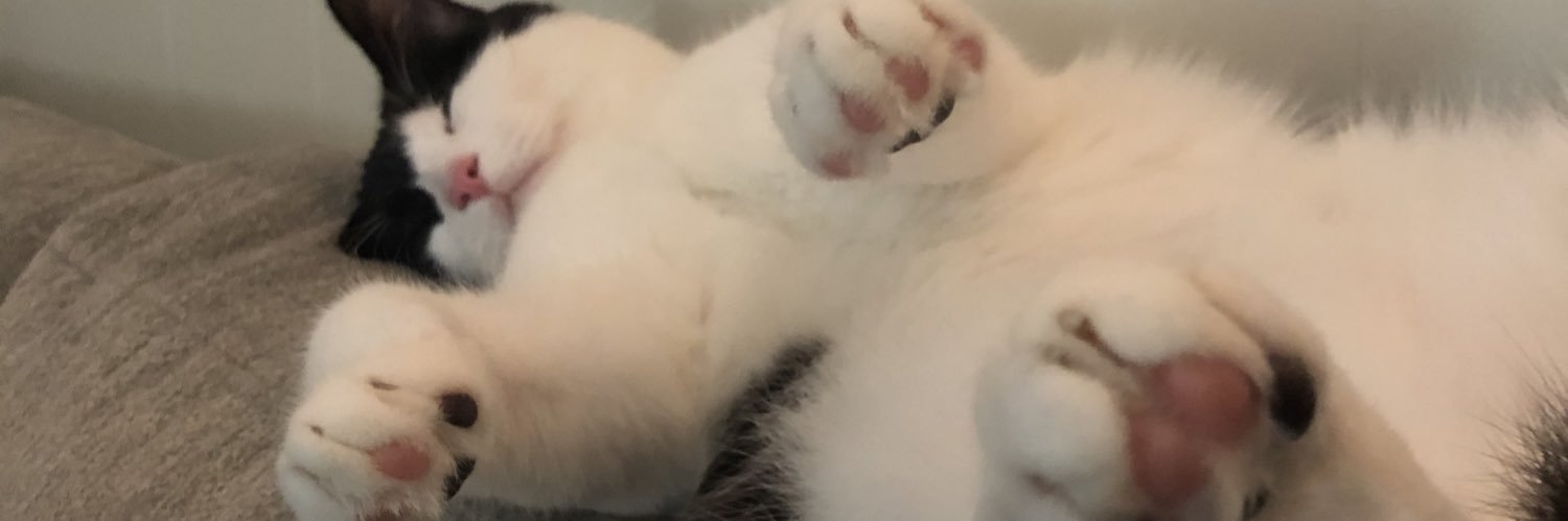 wahusami's profile banner image