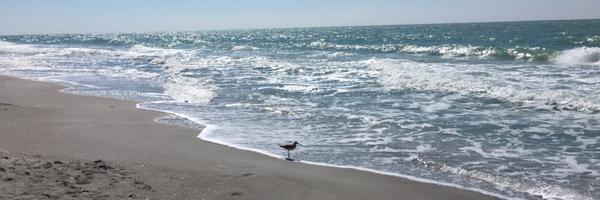 ratkus Profile Banner