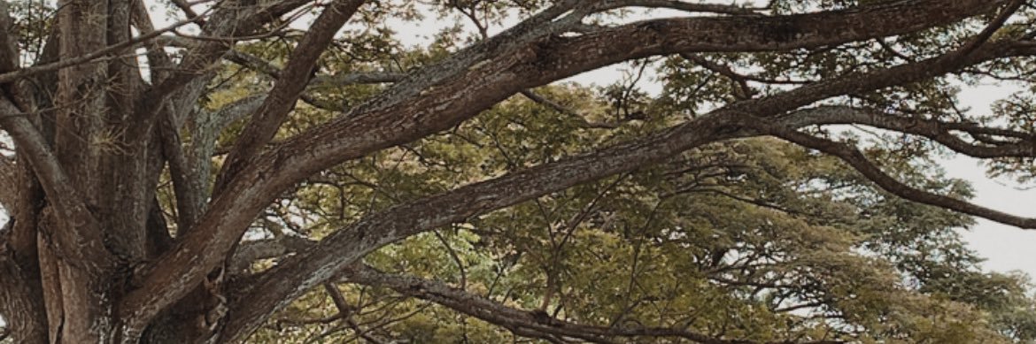 jjnotreallyok's profile banner image