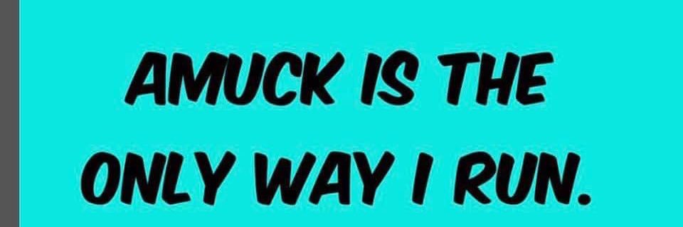 runamucks's profile banner image