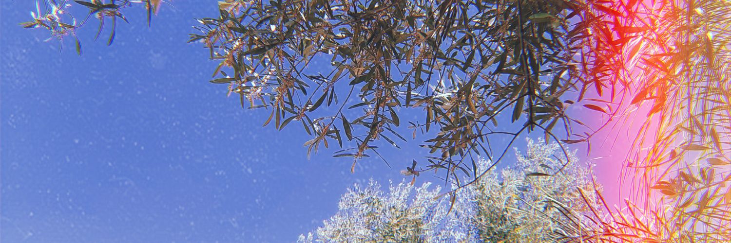 BoutyEl's profile banner image
