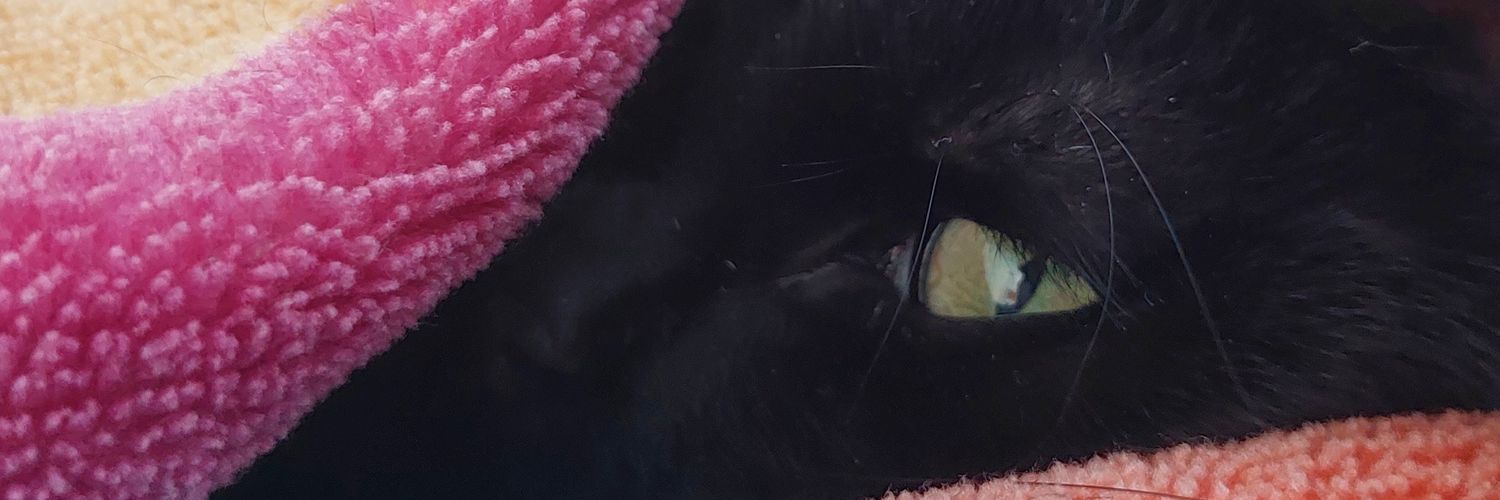 Özgür ‏ ‏ﺦ banner